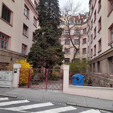 Beautiful Appartment In The Old Town Of Bratislava Eksteriør bilde
